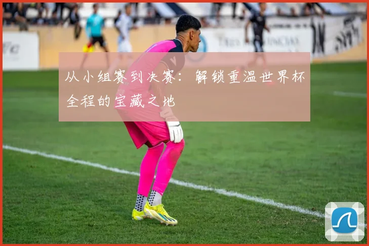 从小组赛到决赛：解锁重温世界杯全程的宝藏之地