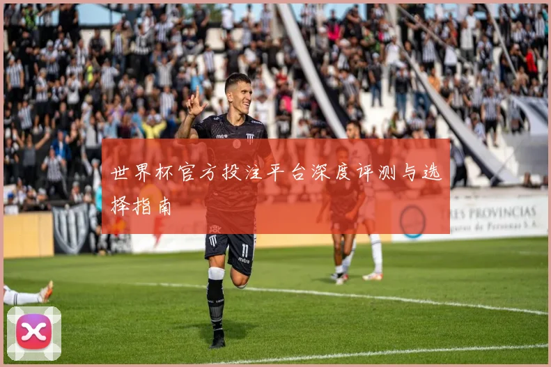 世界杯官方投注平台深度评测与选择指南
