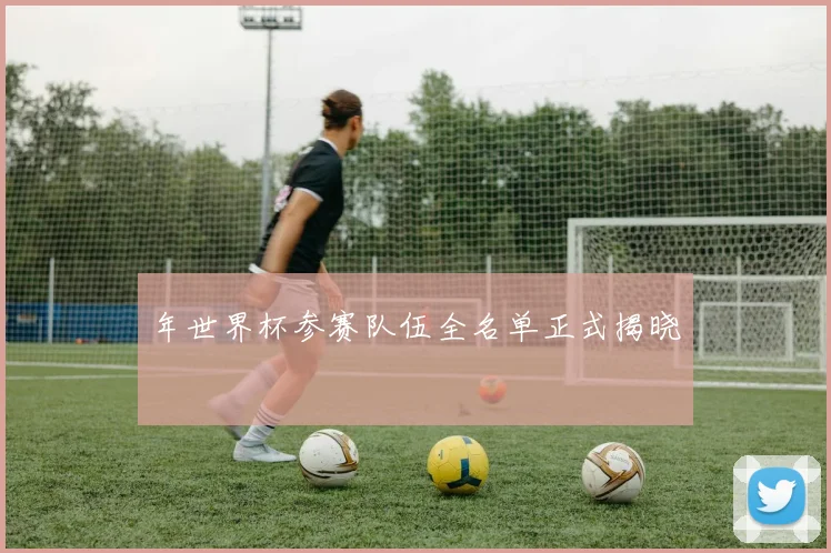 年世界杯参赛队伍全名单正式揭晓