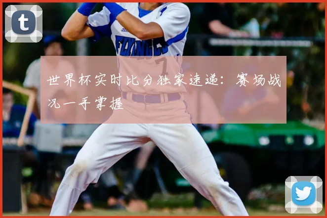 世界杯实时比分独家速递：赛场战况一手掌握